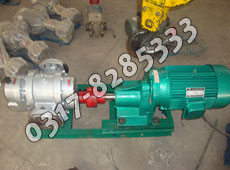 LCW不銹鋼羅茨油泵