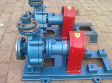 RY風(fēng)冷式熱油泵